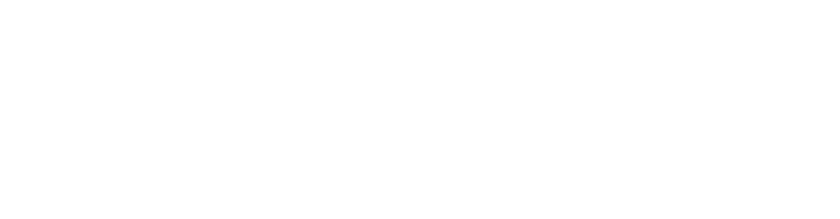 Diseno Web Anubis Solutions